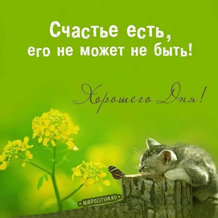 Позитивные картинки доброго дня мужчине Pin on Пожелания Birthday greeting message, Good morning, Cool words