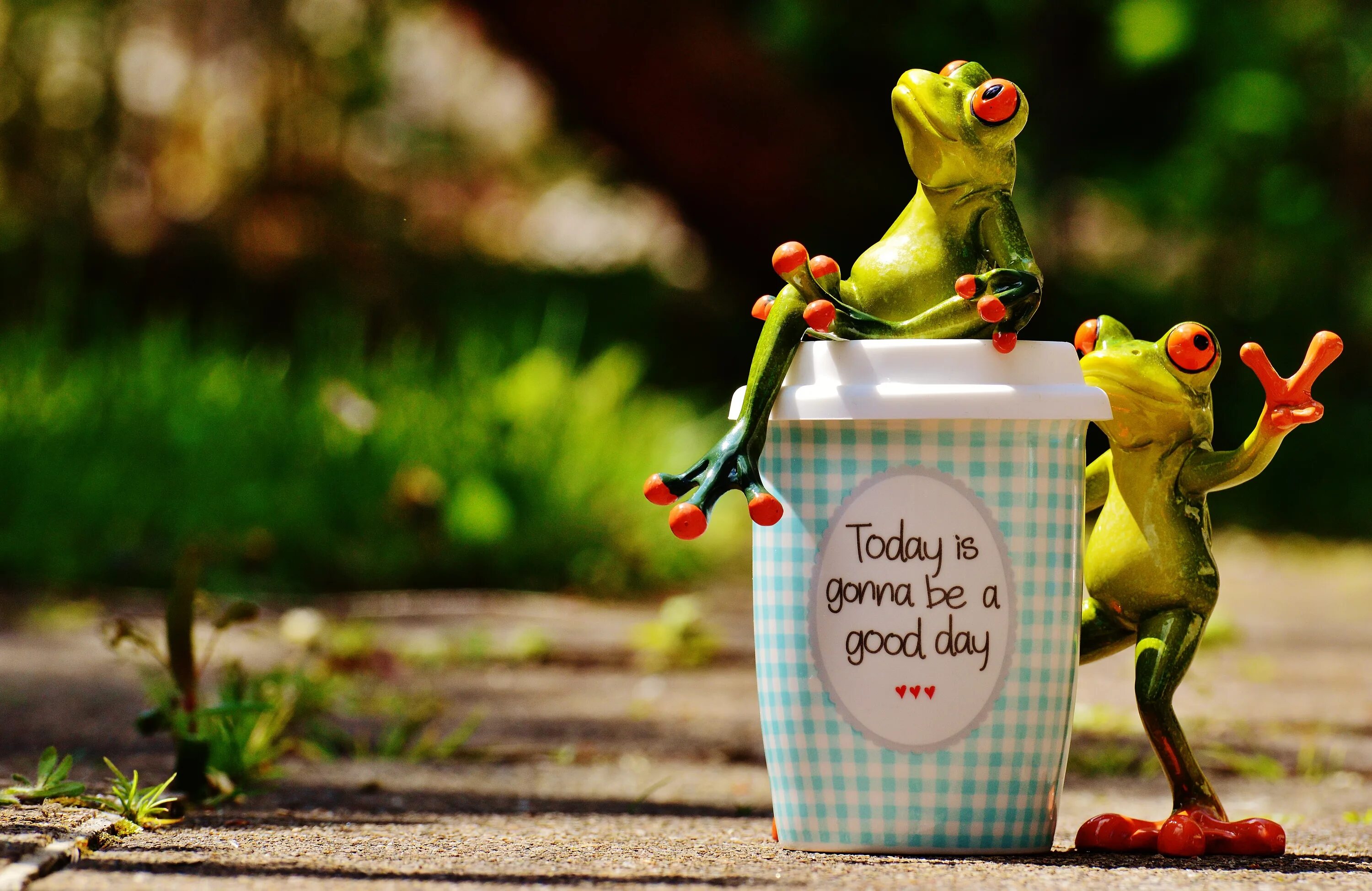 Позитивные картинки красивые необычные Figures of funny frogs near a glass of coffee free image download