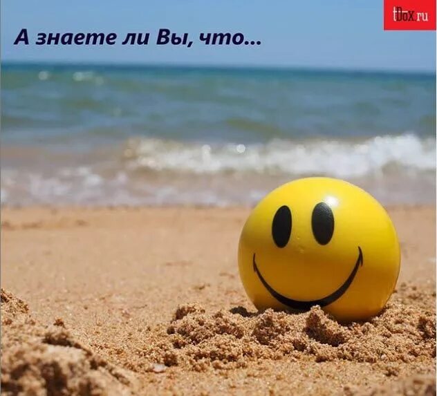 Позитивные картинки море Смайлик Best smile quotes, Smile quotes, Smile wallpaper