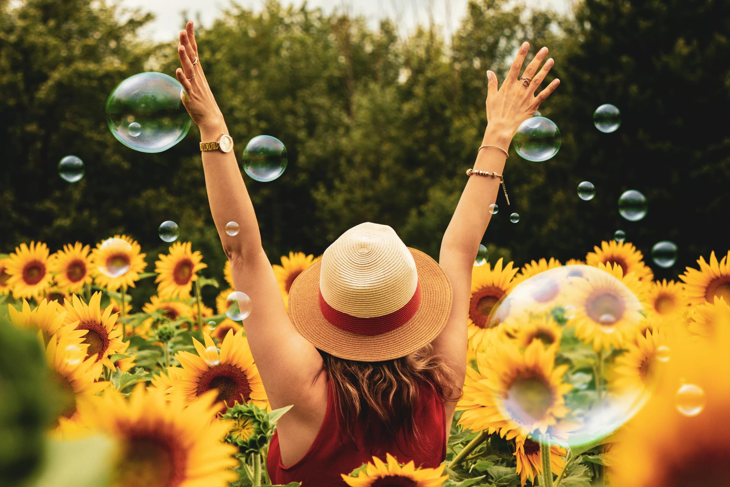 Позитивные картинки новые Free Images : yellow, spring, flower, summer, plant, happy, sunlight, organism, 