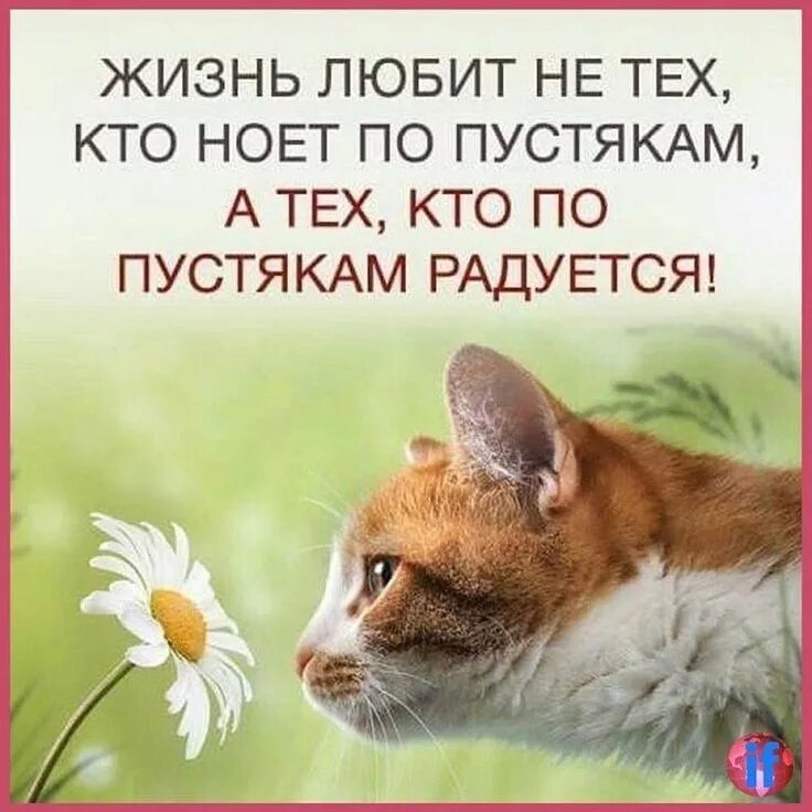 Позитивные картинки о жизни Запомни! Картинки с текстом #демотиваторы #постеры nfrifkqssdxn webrbzeauhdo aqd