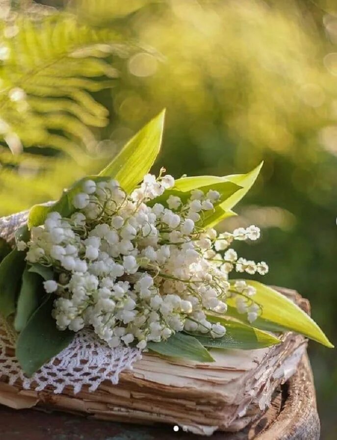 Позитивные картинки с добрыми пожеланиями весенние Pin by Nouha ChoKoholic on Beautiful pictures Lily of the valley flowers, Pretty