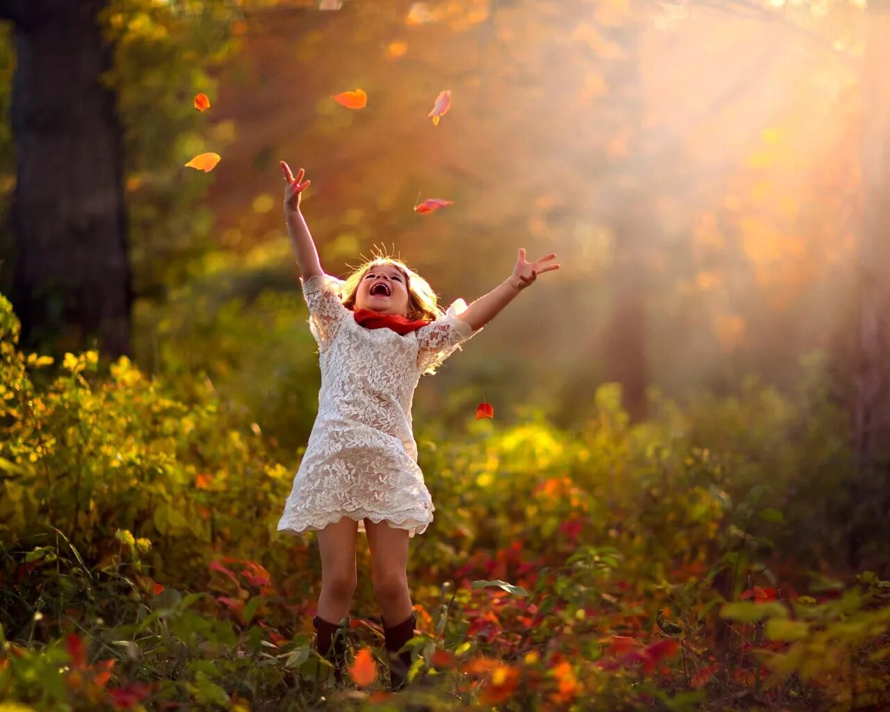 Позитивные картинки сентября Download wallpaper autumn, forest, leaves, trees, nature, child, girl, section m