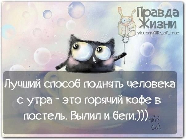 Позитивные картинки со смыслом про утро правда жизни: 20 тыс изображений найдено в Яндекс.Картинках Картинки, Открытки, 