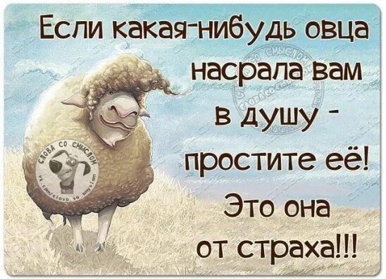 Позитивные картинки со смыслом про жизнь Пин от пользователя Алёна на доске Смех:) Смешные высказывания, Юмористические ц