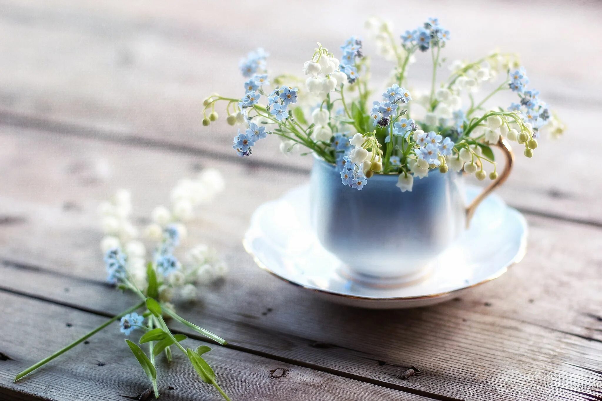 Позитивные картинки весеннего утра hard to forget Lily of the valley, Not wallpaper, Flower cottage