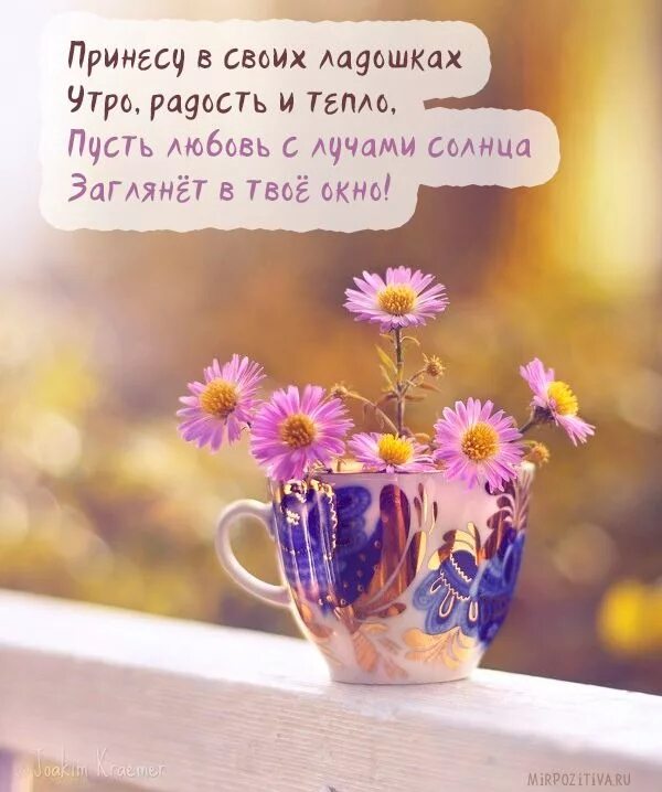 Позитивные красивые картинки доброе утро любимой Beautiful flowers, Flowers, Tea cups