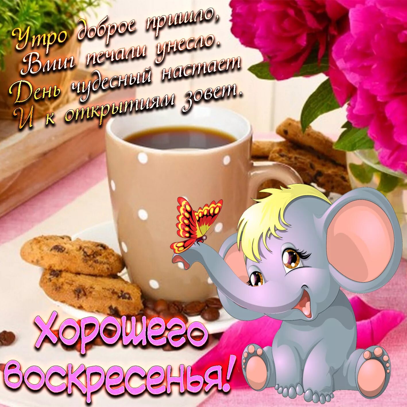Позитивные красивые картинки с добрым утром воскресенья Скачать интересную открытку про Воскресенье