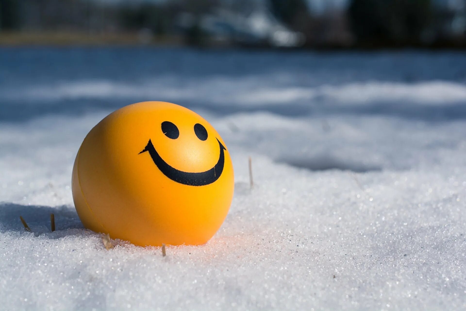 Позитивные зимние картинки Wallpaper : 1920x1280 px, landscape, nature, smiley, snow, winter 1920x1280 - Co