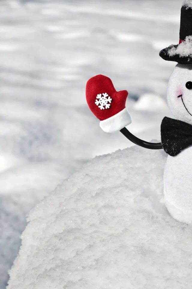 Позитивные зимние картинки Cheerful snowman in hat on the snow Desktop wallpapers 640x960