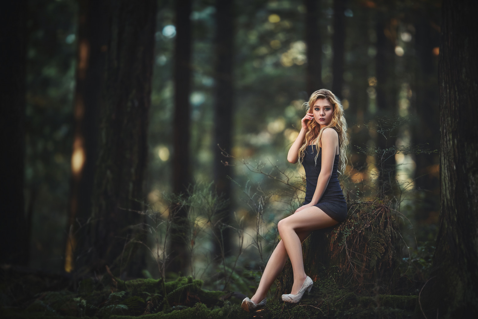 Позы для фото в лесу Wallpaper : Raymond Wong, blonde, blue eyes, black dress, sitting, high heels, h