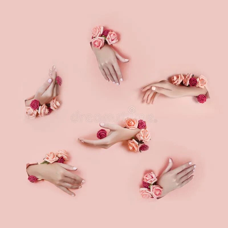 Позы рук для фото маникюра Set Hands with Artificial Flowers Sticking Out of Hole Pink Paper Background. Ha