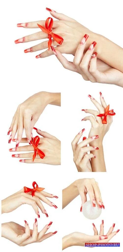 Позы рук для фото маникюра Manicure, women's hands and flowers vector " Чудо Шаблоны Фотошопа