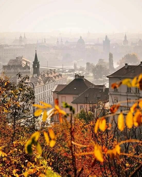 Прага осенью фото Pin auf пейзажи Prag, Tschechien, Stadt