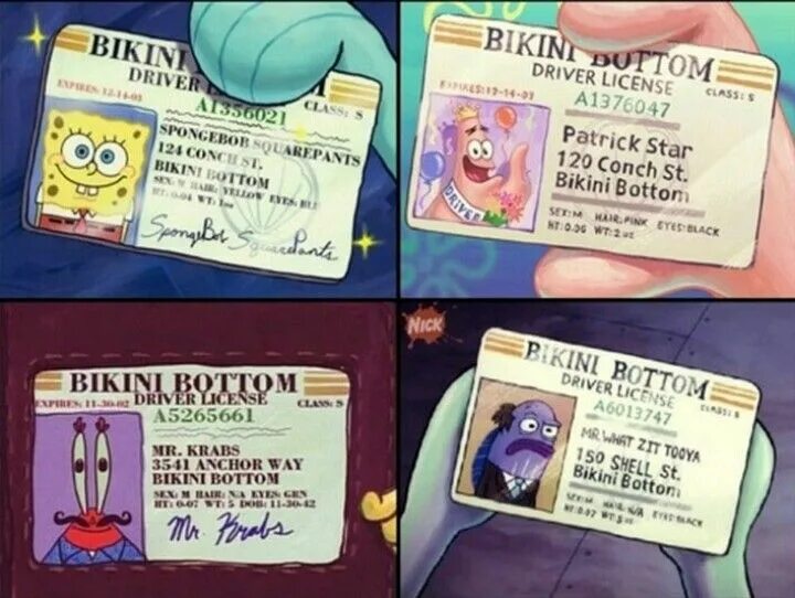 Права губки боба фото Pin by Maricela Miranda on SpongeBob is my idol ((: Spongebob squarepants, Spong