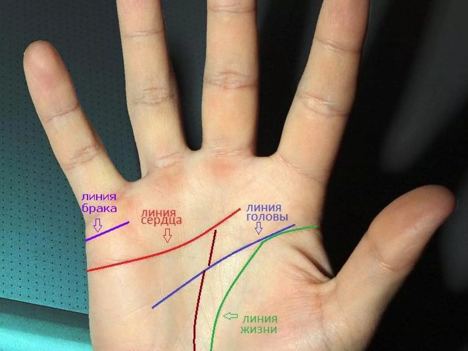 Правая рука линии на ладони фото Кто и как обманывает нас, прикрываясь наукой?