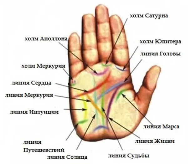 Правая рука линии на ладони фото Холм Сатурна отвечает за наши положительные и отрицательные черты - читаем по ла