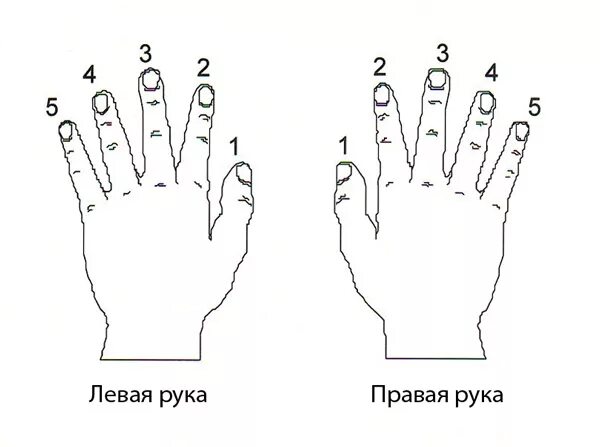 Правая рука схема расположения Разучивание пьесы на фортепиано - Ученик - общение музыкой