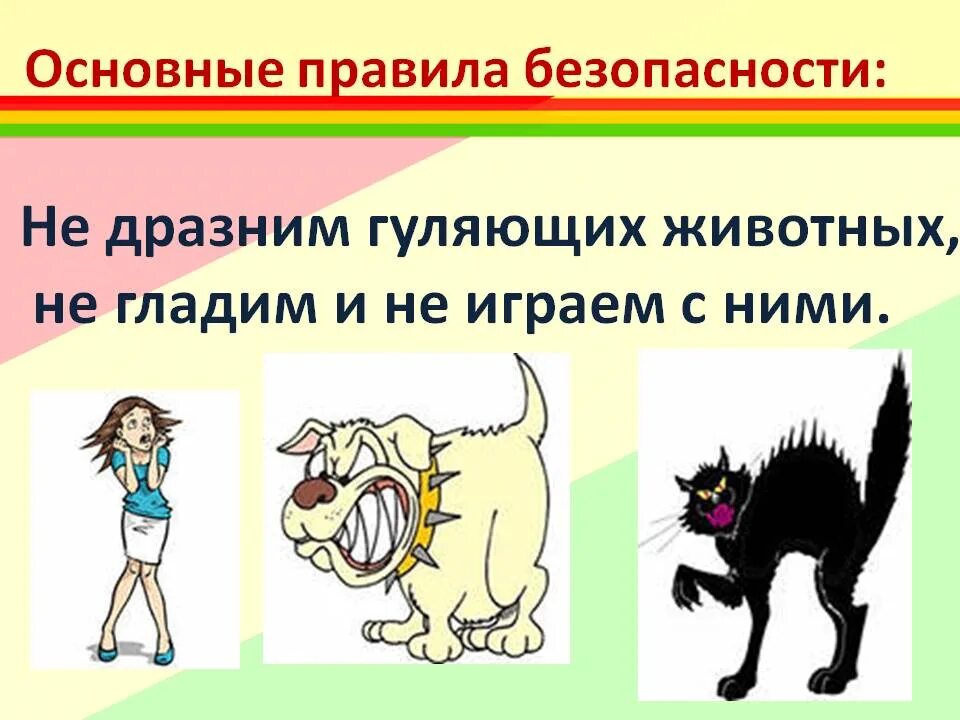 Правила поведения с животными картинки Соблюдение правил безопасности и поведения учащихся во время осенних каникул - п