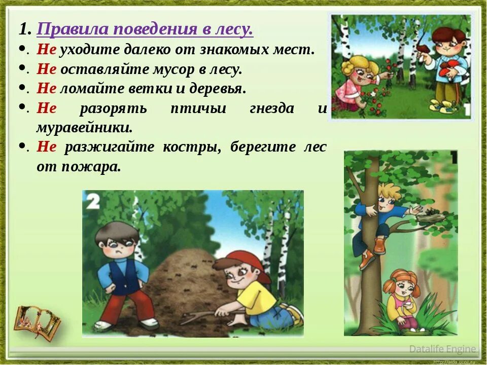 Правила поведения в лесу фото Материалы за 22.07.2020 " МО Языковское городское поселение