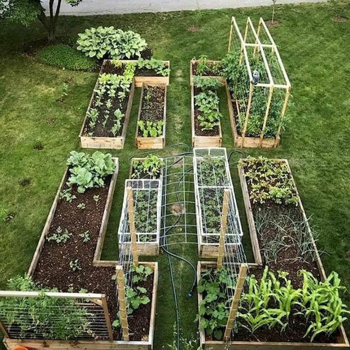 Правильная дача фото 40 Stunning Vegetable Garden Design Ideas Perfect For Beginners Vegetable garden