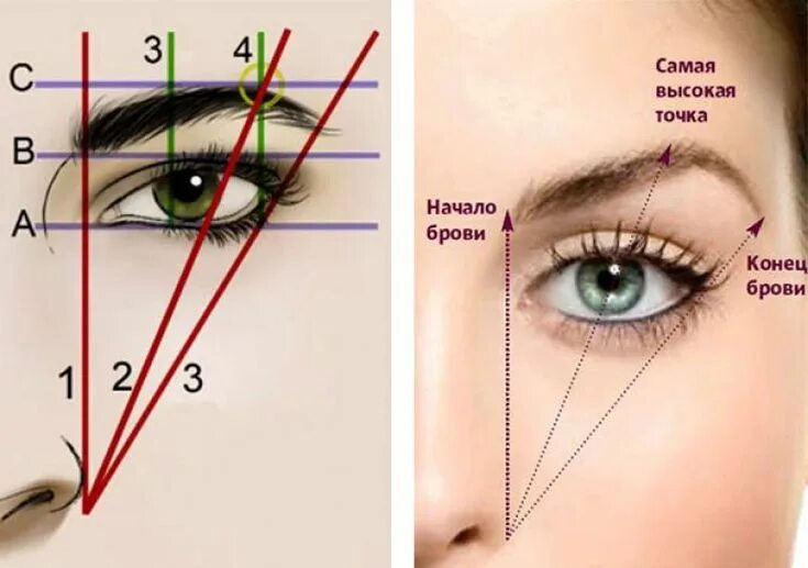 Правильная форма бровей фото Как накрасить брови карандашом поэтапная инструкция Техники макияжа, Макияж бров