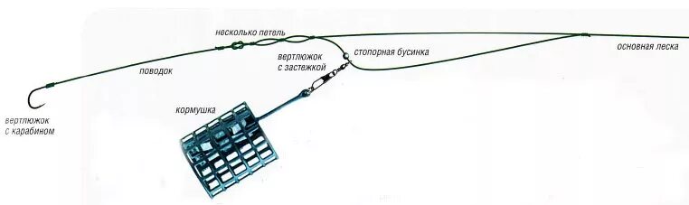 Правильная оснастка фидера Особенности ловли леща на фидер