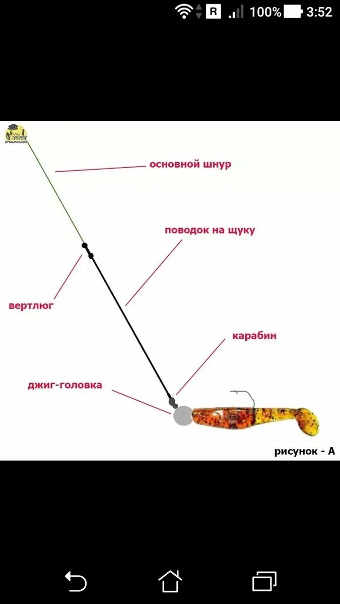 Правильная оснастка спиннинга Схема снасти с джиг головкой: спиннинг на щуку Фото заметки из моей жизни в Крым