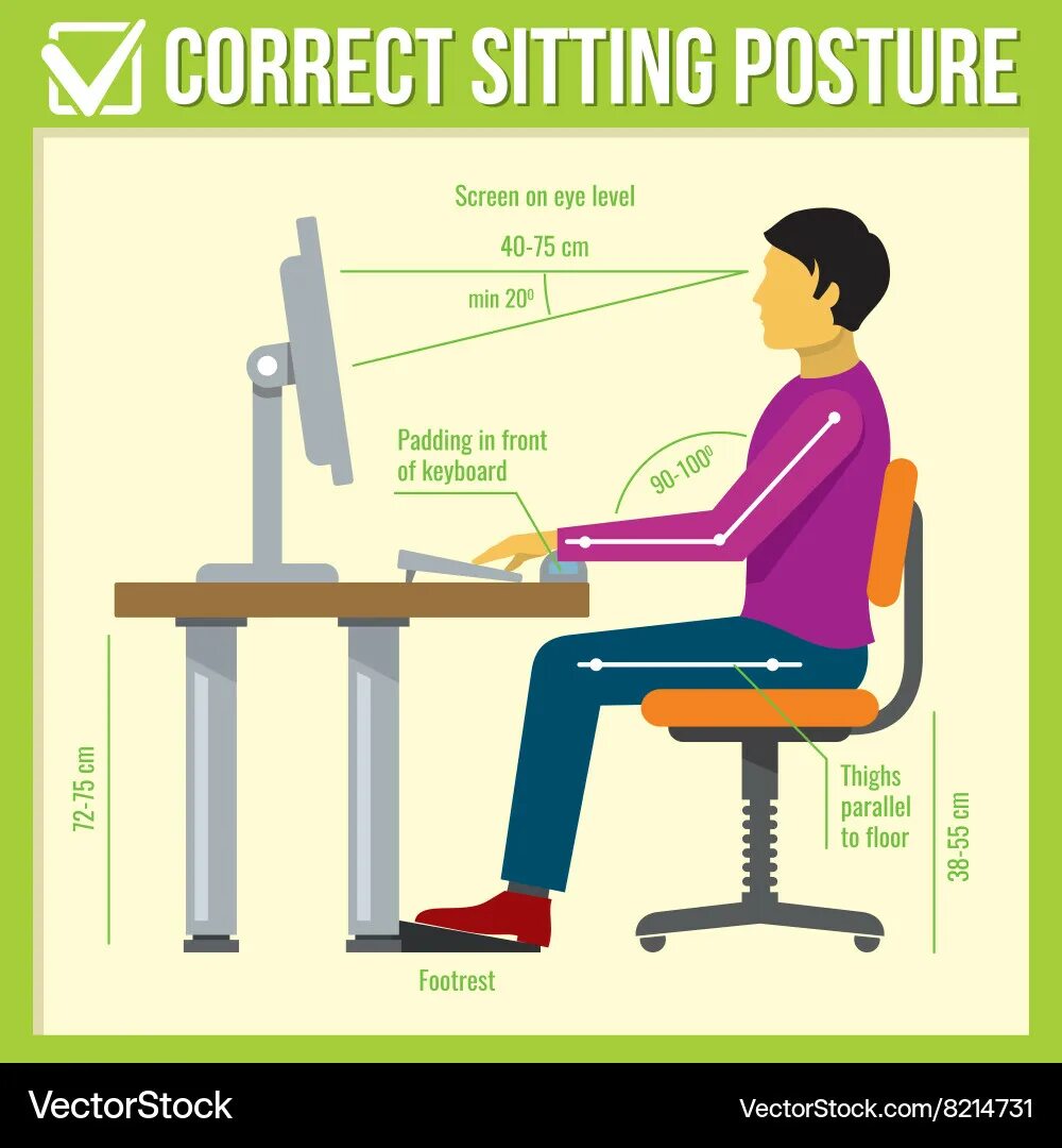 Правильная посадка фото Correct sitting posture infographics Royalty Free Vector