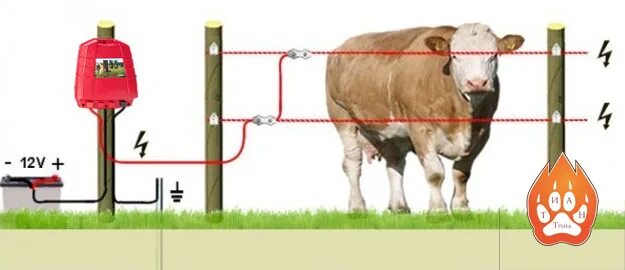 Электропастух для лошади от аккумулятора зима - elepas.ru