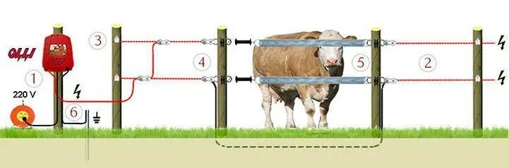 Правильная схема подключения электропастуха Электронный забор для собак: как сделать электропастуха своими руками