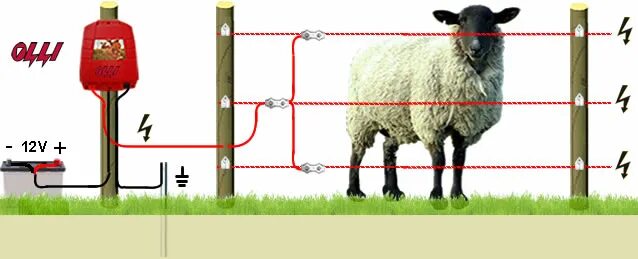 Правильная схема подключения электропастуха ელექტრო მწყემსი საკუთარი ხელებით - თბილისის ფორუმი
