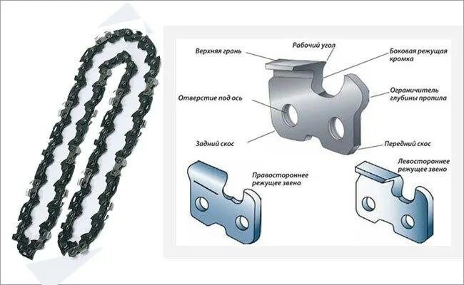 Правильная установка цепи на бензопилу направление фото Направление цепи бензопилы фото - DelaDom.ru