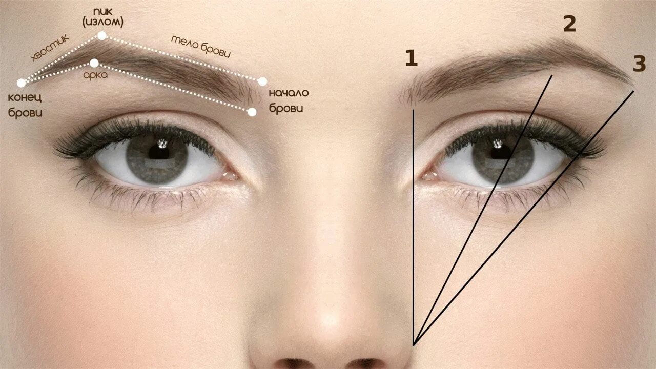 Правильно оформить брови фото Формы и схемы прорисовки бровей - Школа Добрый Косметолог Брови, Татуаж бровей, 