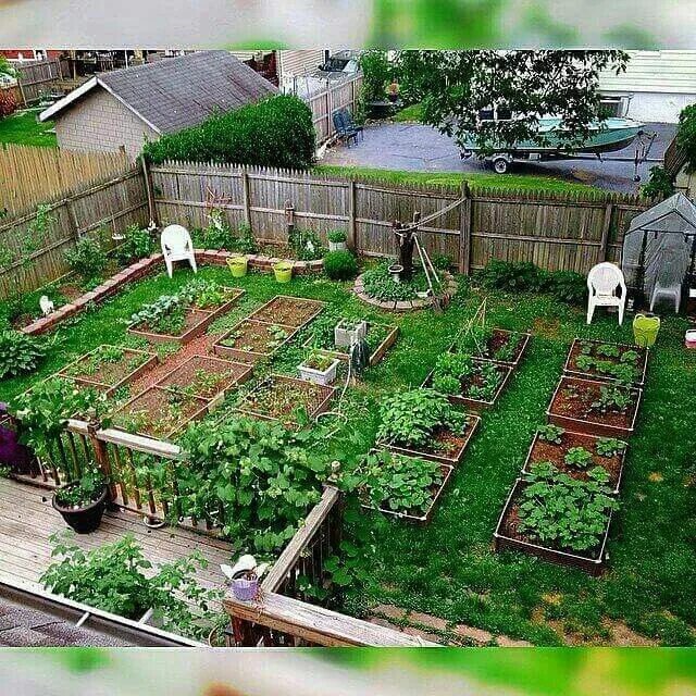 Правильно распланировать участок фото Pin on gardening Vegetable garden planning, Urban garden, Backyard vegetable gar