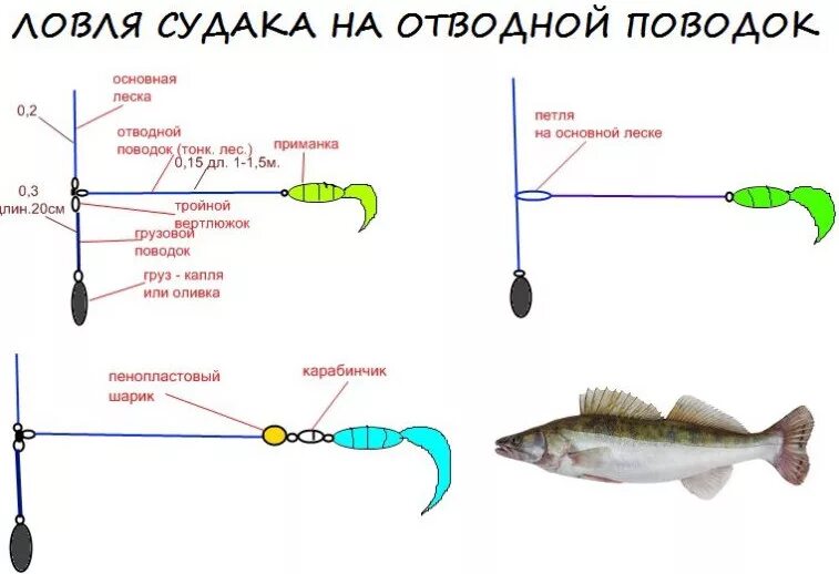 Правильно собрать оснастку Все хитрости ловли судака на отводной поводок