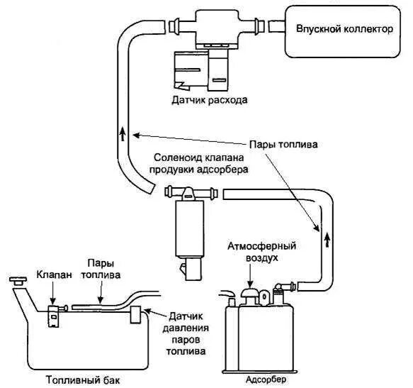 Правильное подключение адсорбера Клапан продувки адсорбера: что такое клапан адсорбера и признаки неисправности
