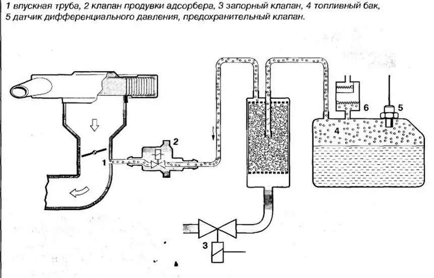 Правильное подключение адсорбера Абсорбер или адсорбер: устройство и принцип работы в автомобиле