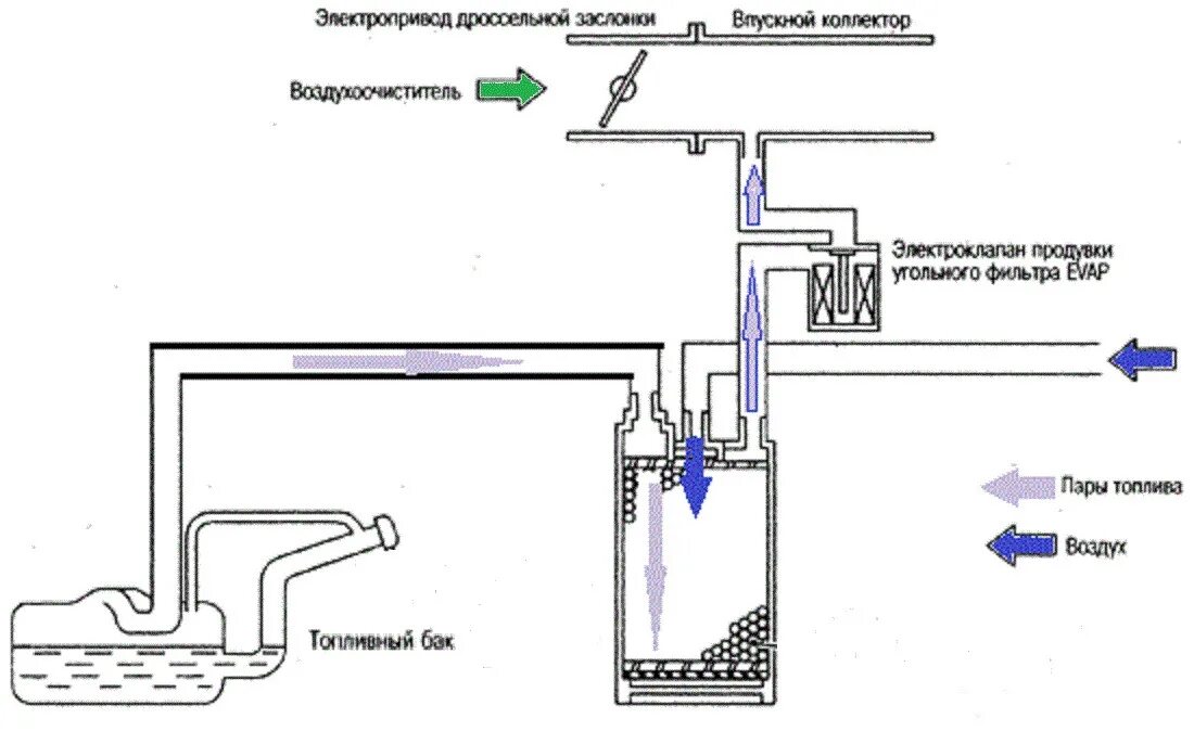 Правильное подключение адсорбера клапан продувки адсорбера - DRIVE2