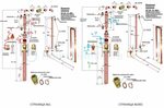 Правильное подключение колонны Как правильно подключить колонну