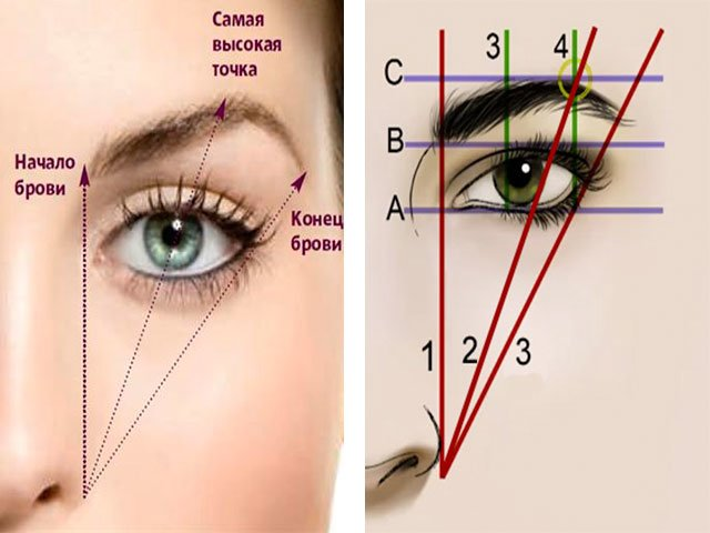 Правильные брови фото Как правильно красить брови тенями фото пошагово Eyebrow makeup tips, Eyebrow ma