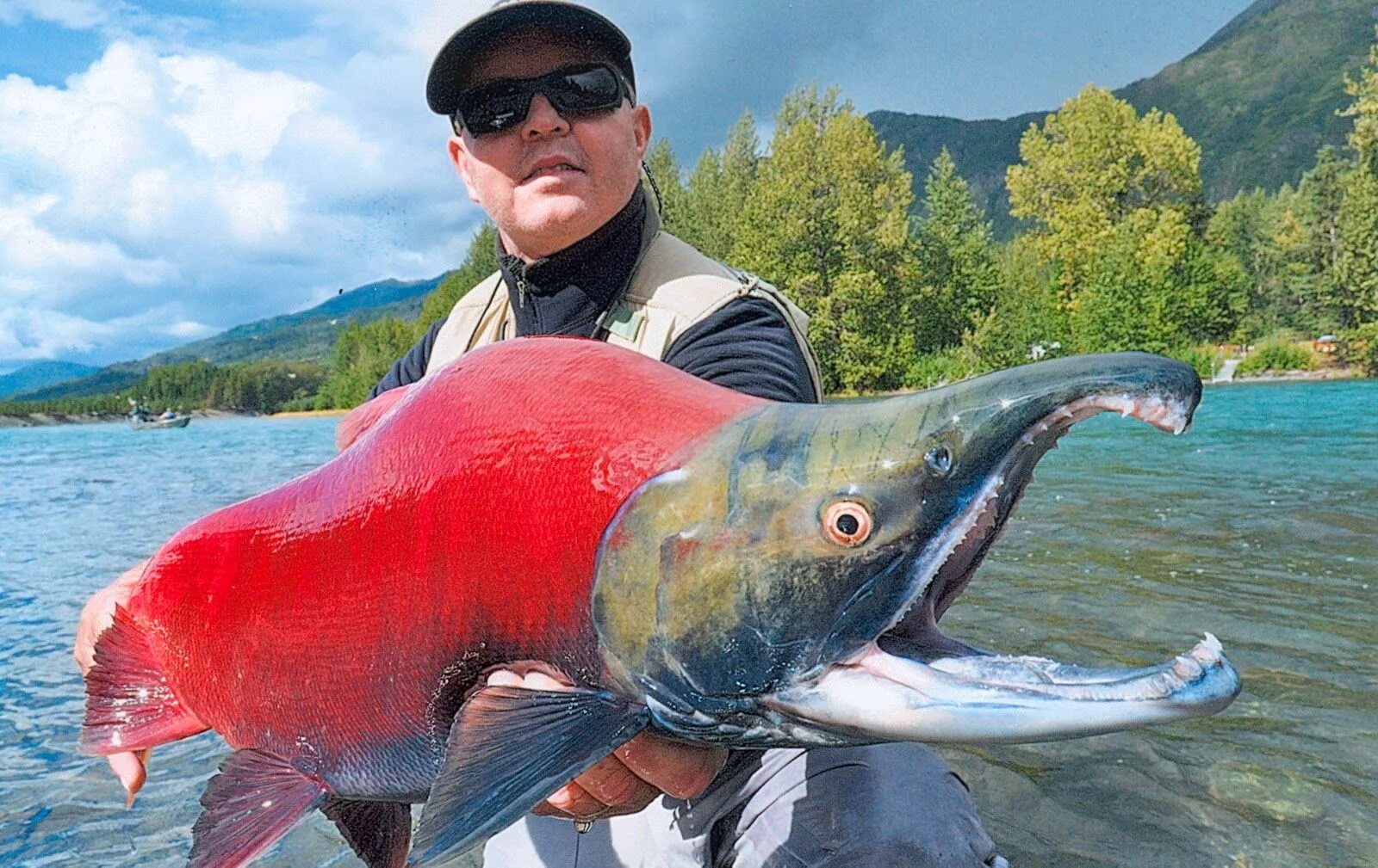 Правильные фото с рыбой photo of large ocean fish - Yahoo Search Results Salmon fishing, Fish, Alaska fi