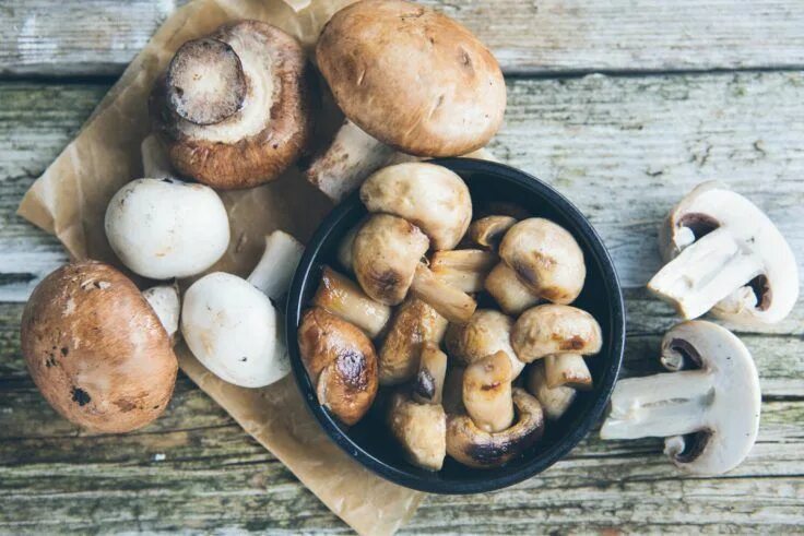 Правильные грибы фото 8 conseils pour cultiver des champignons chez soi - Mon Jardin & ma maison Recet