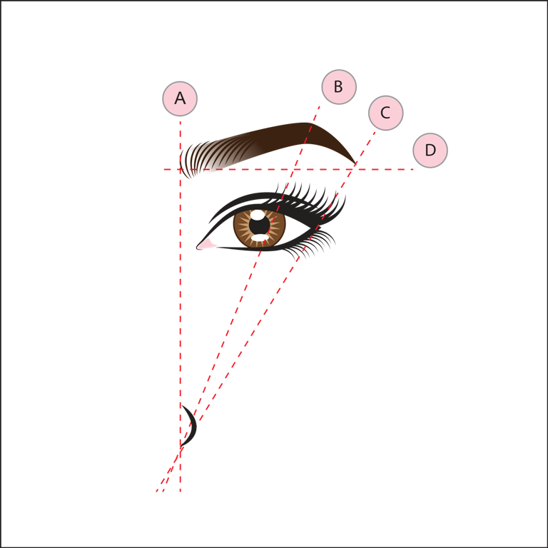 Правильный эскиз бровей для перманентного макияжа cool Как правильно красить брови карандашом и тенями - Полный обзор Читай больше