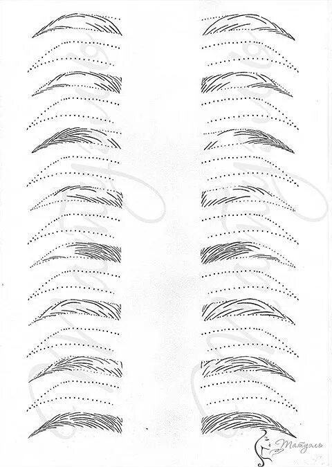 Правильный эскиз бровей для перманентного макияжа Картинки ЭСКИЗ БРОВЕЙ ДЛЯ ПЕРМАНЕНТНОГО