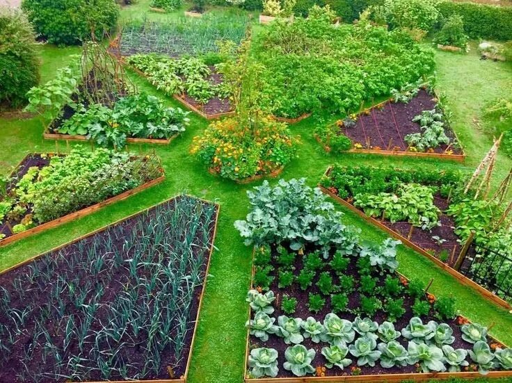 Правильный сад и огород фото 40 Inspiring Vegetable Garden Design for Your Backyard - rengusuk.com Vegetable 