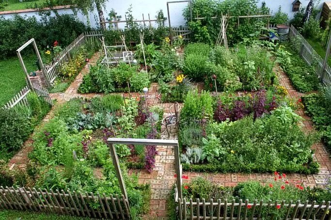 Правильный сад и огород фото Nice Kitchen Garden in Austria - Garden Decor Ideas - 1001 Gardens Vegetable gar