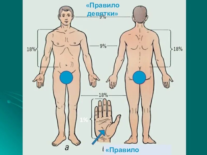 Правило 9 фото Правило 9 почему Shtampik.com