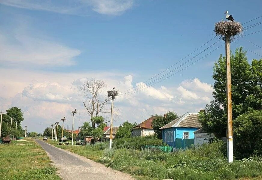 Право жить курская область октябрьский район фото Краеведческий час "Дом, где мы с тобой растем, - вот что родиной зовем!" 2023, Р