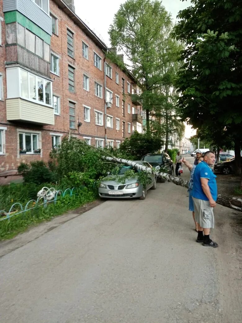 Праймдом ул щегловская засека 19 тула фото В Туле на Щегловской засеке ветер повалил деревья 26.06.2020 Происшествия Центр7